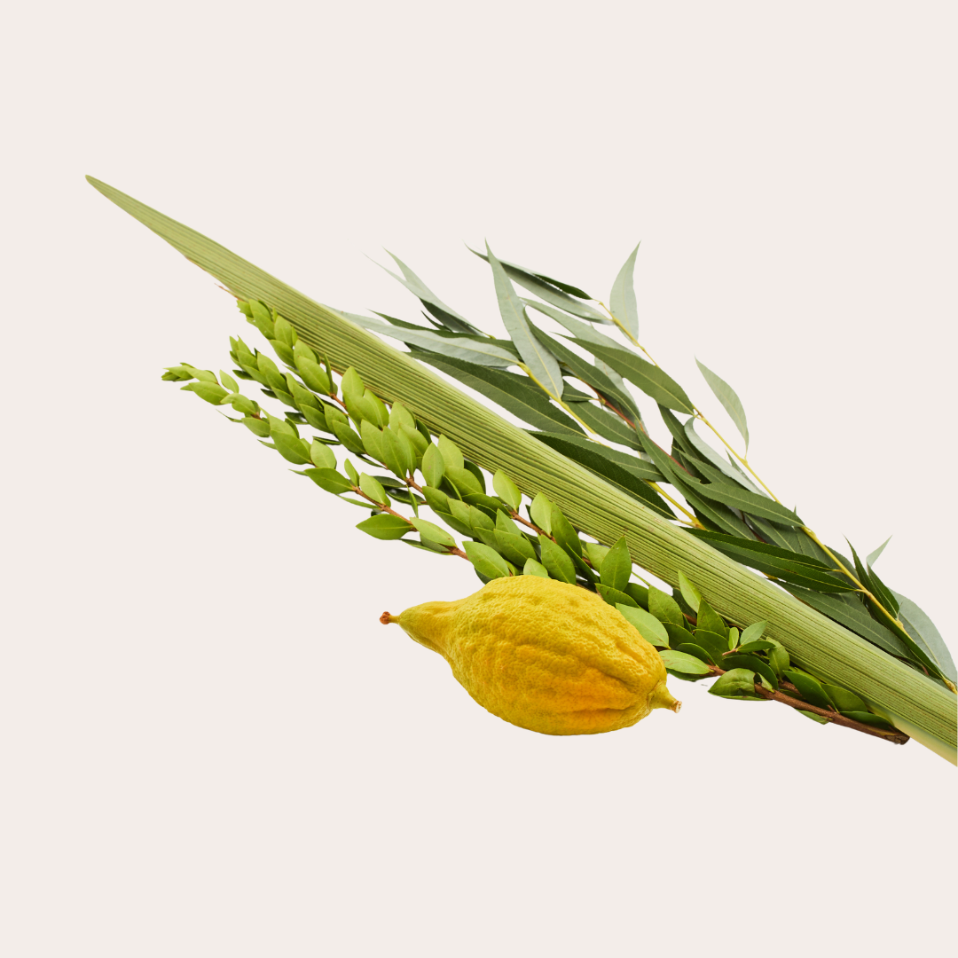 Sukkot