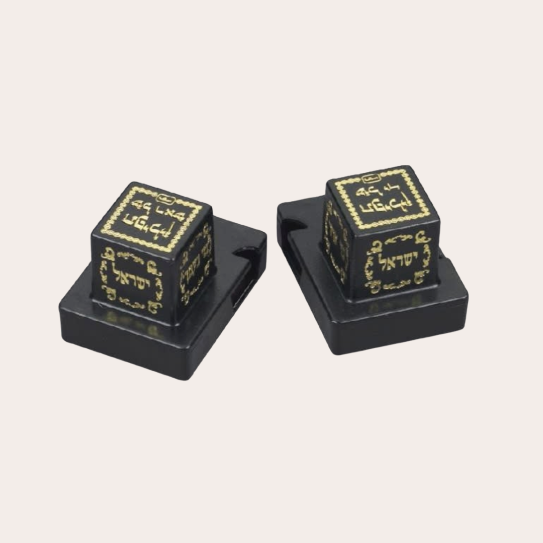 Tefillin - Cases