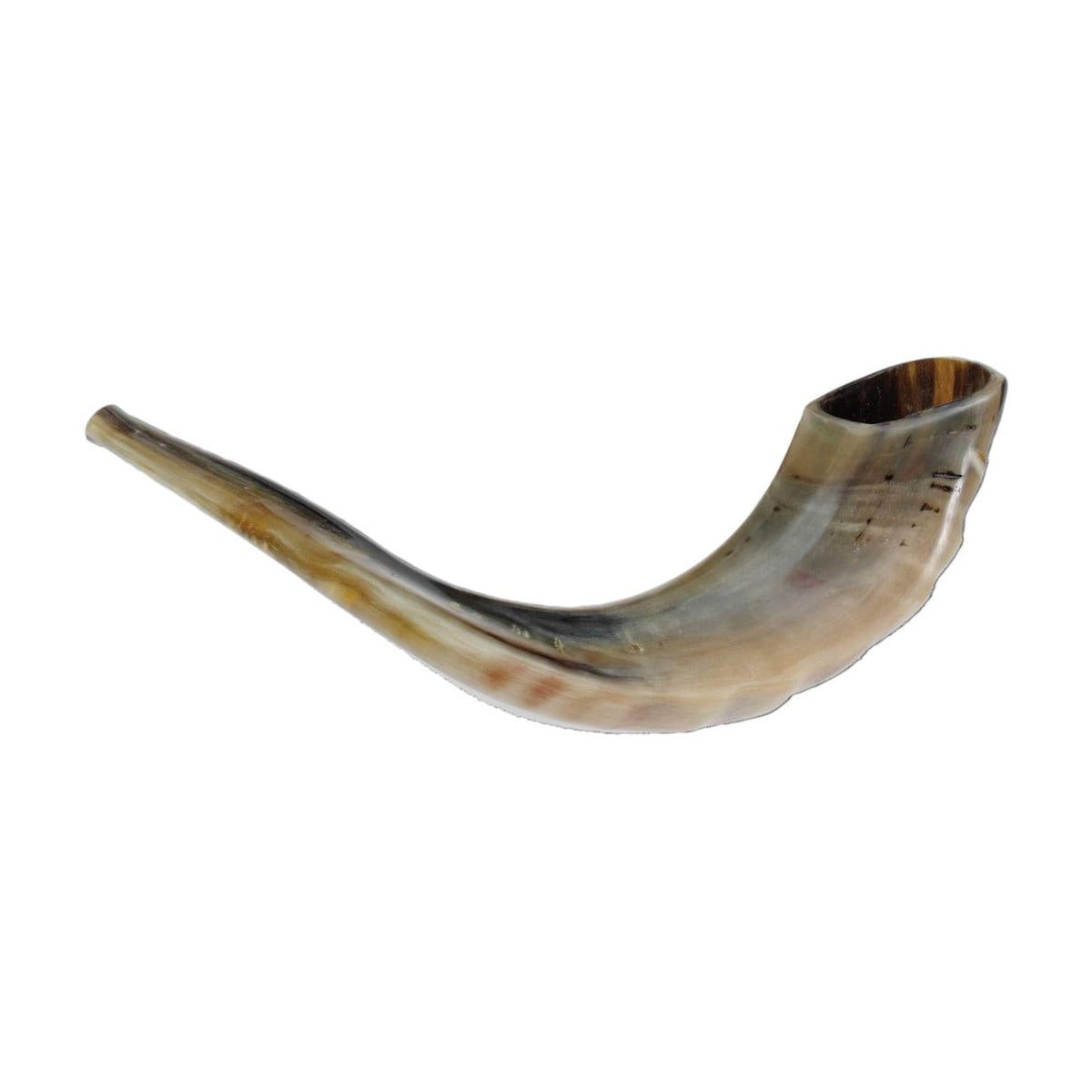 Shofar, Size 3