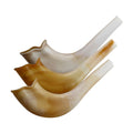 Plastic Shofar, Small