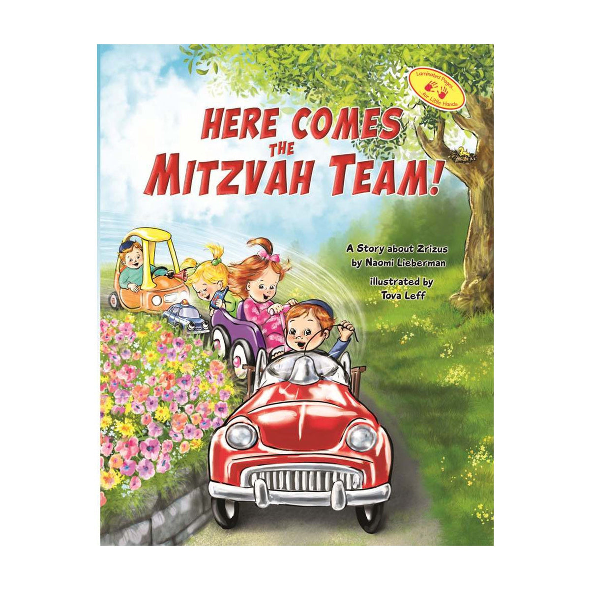 Here Comes the Mitzvah Team