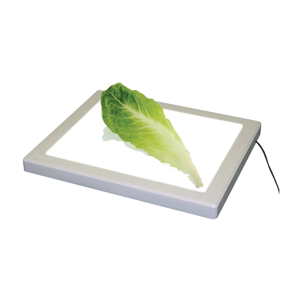 Bug Checker MAX PRO Light Board