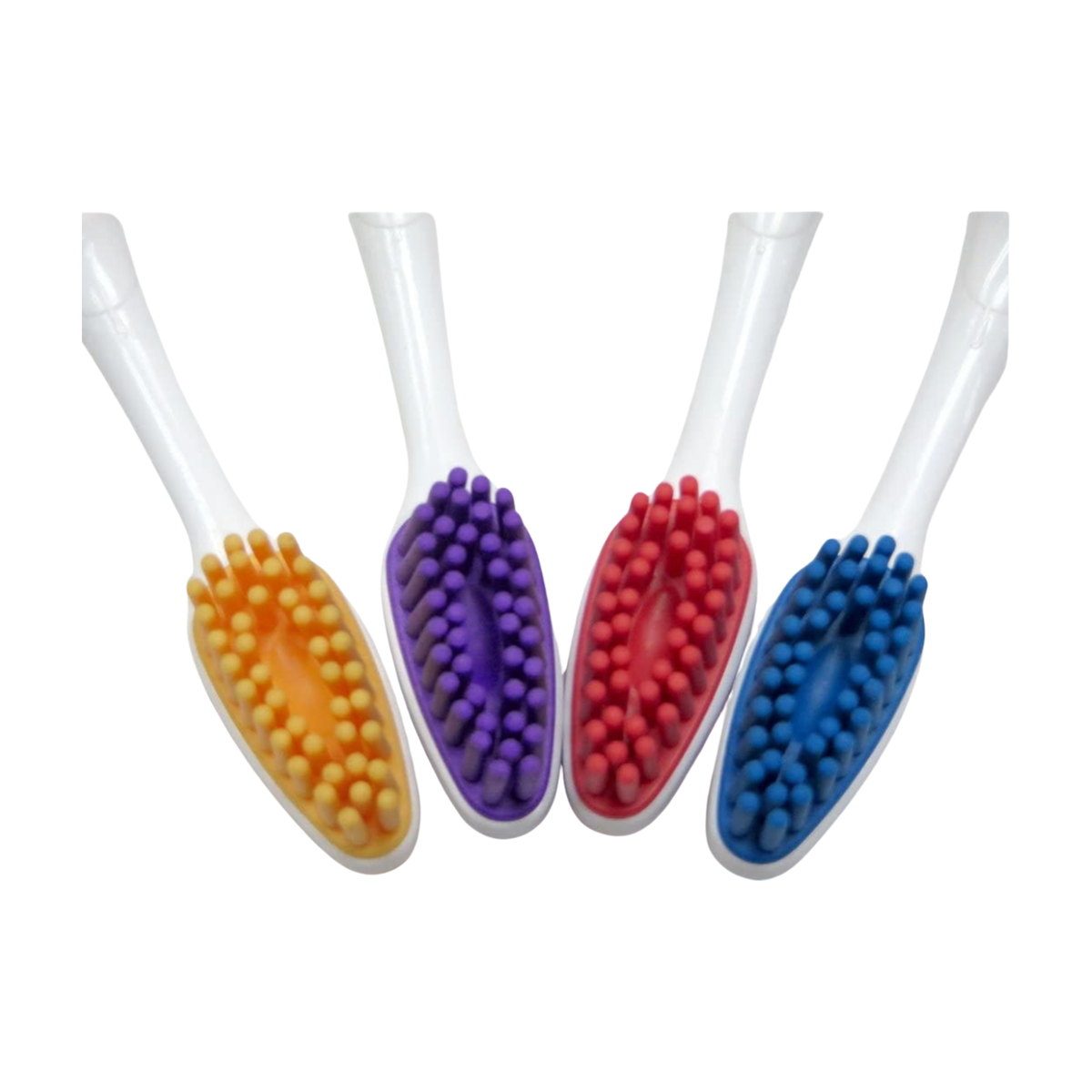 Shabbos Toothbrush