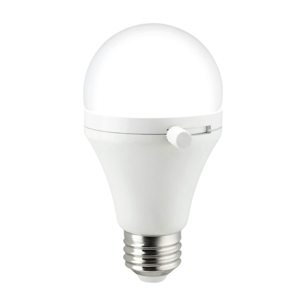 Shabbulb