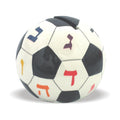 Soccer Ball Tzedakah Box