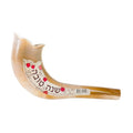 Kids Plastic Shofar