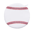 Tzedakah  Pouch, Baseball
