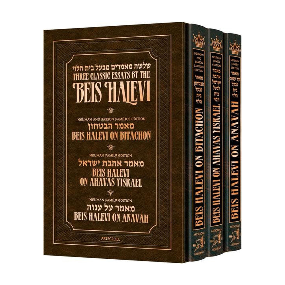 Beis Halevi 3-Volume Set