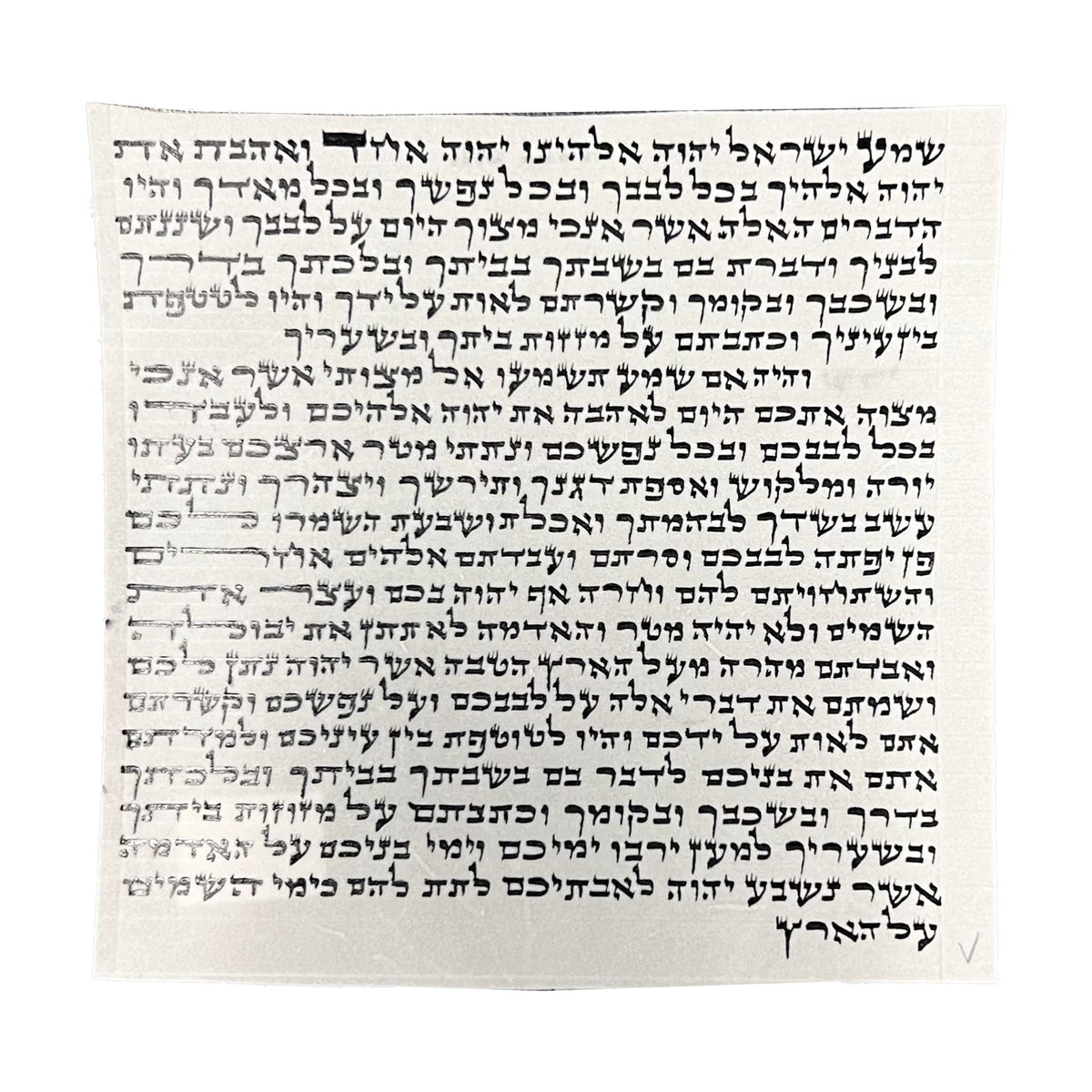 Mezuzah Scroll, 10cm