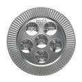 Disposable Seder Plate