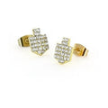 Chanukah Earrings