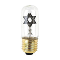 Memorial Lamp Bulb