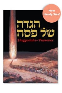 Haggadah for Passover Kleinman Edition, Compact Size