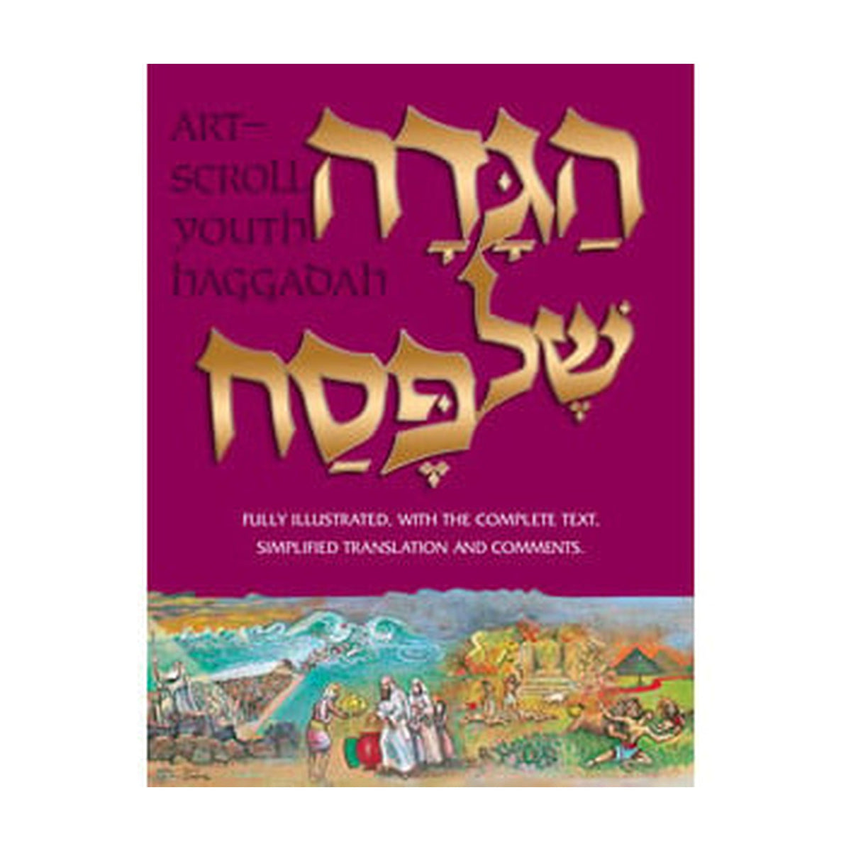 Youth Haggadah, Hardcover