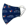 Adult Size Mask, Toronto Blue Jays