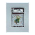 Seven Species (Magnetic)