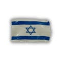 Magnet, Flag of Israel