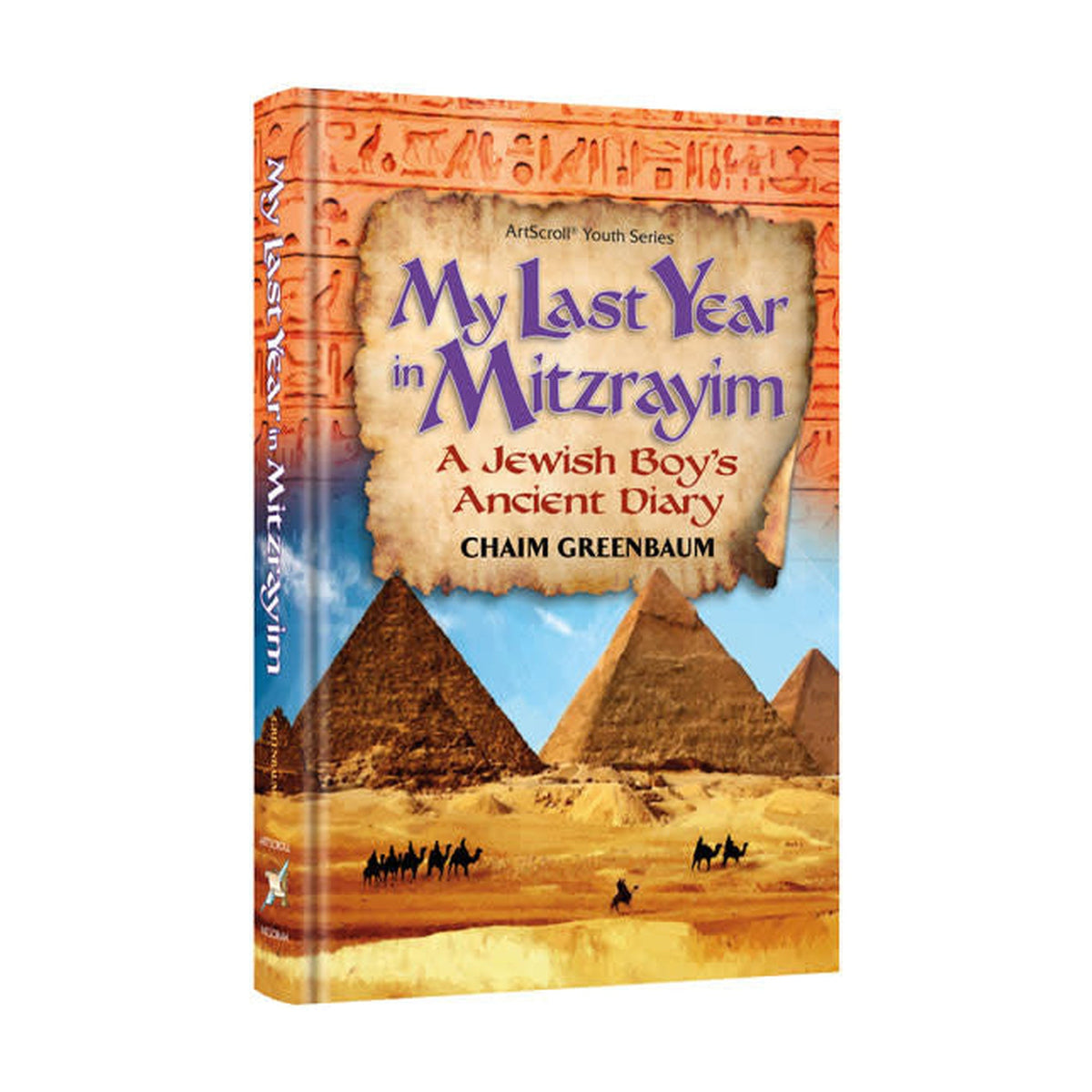 My Last Year in Mitzrayim