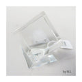 Crystal Paperweight