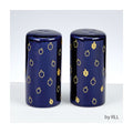Chanukah Salt & Pepper Shakers