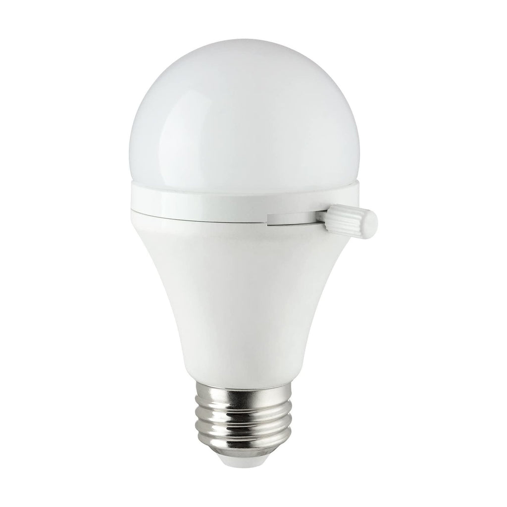 Shabbulb