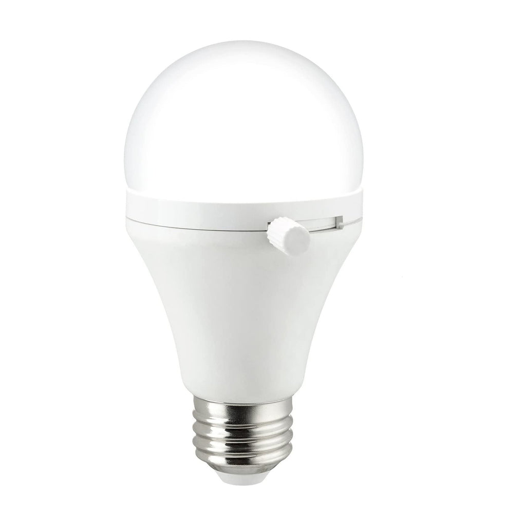 Shabbulb