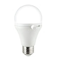 Shabbulb