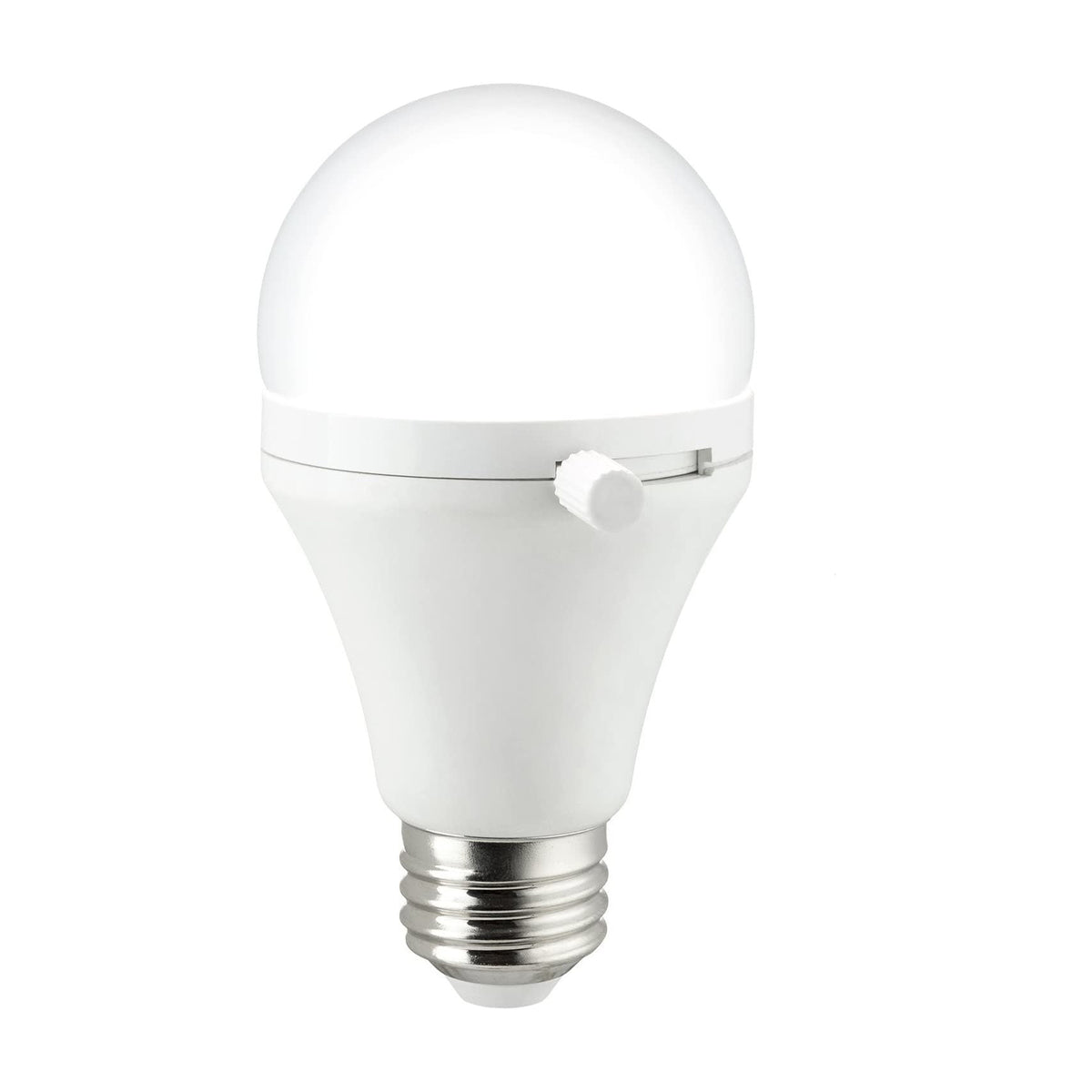 Shabbulb