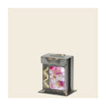 Tzedakah Box, New Baby
