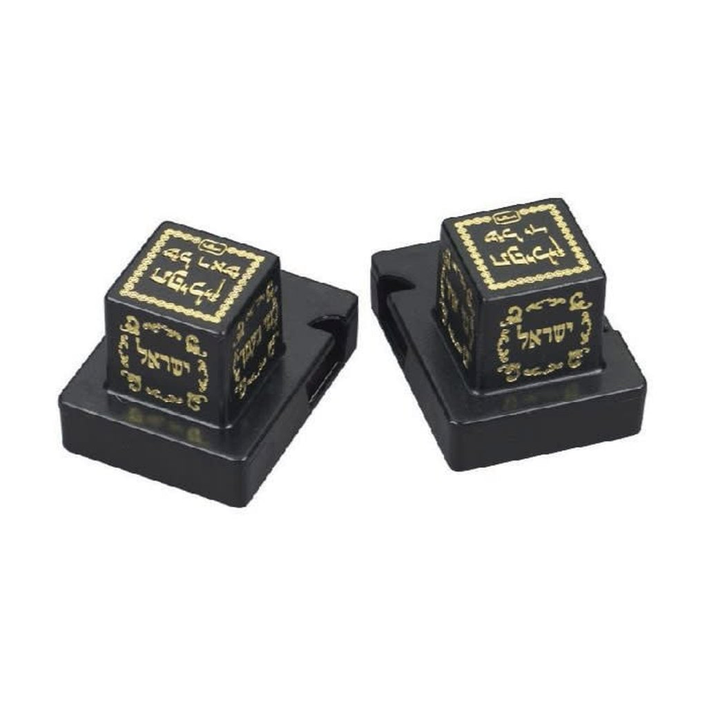 Plastic Tefillin Cases, Size 31 Right