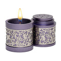 Travel Havdallah Set