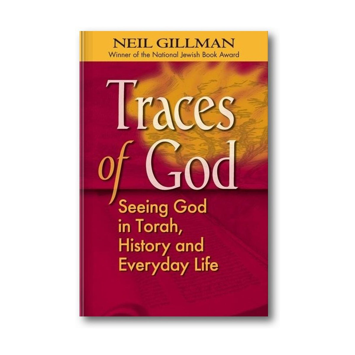 Traces of God: Seeing God in Torah, History and Everyday Life book cover