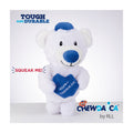 Chanukah Plush Bear Squeaky Dog Toy