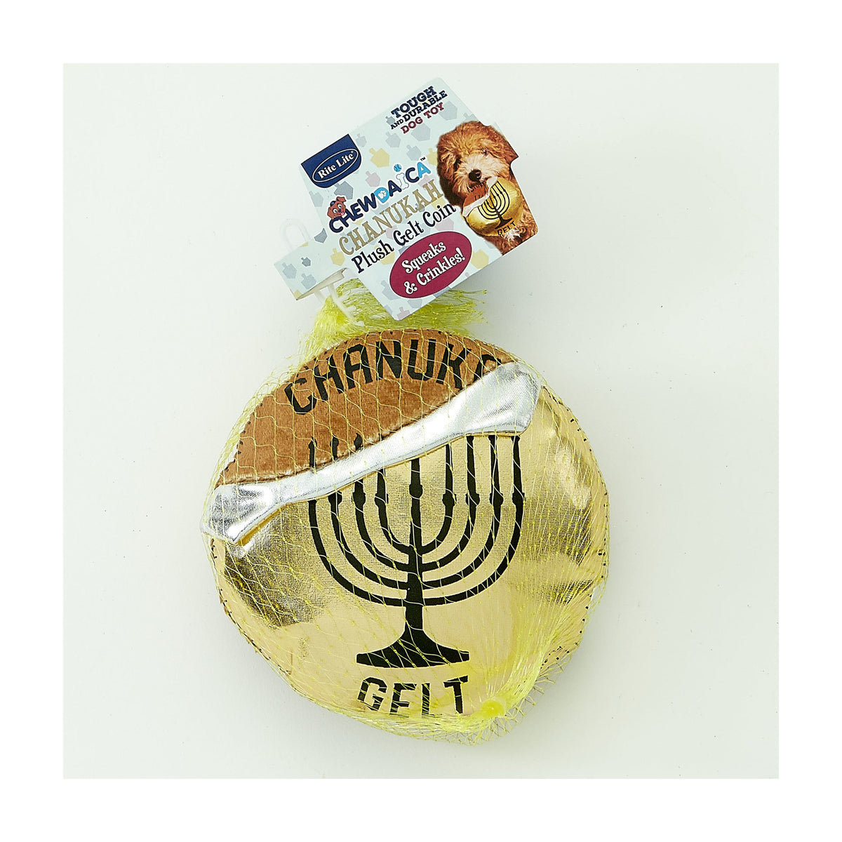 Chanukah Dog Toy, Gelt
