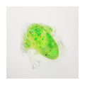 Passover Squish Frog