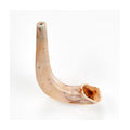 Toy Shofar - Real Looking