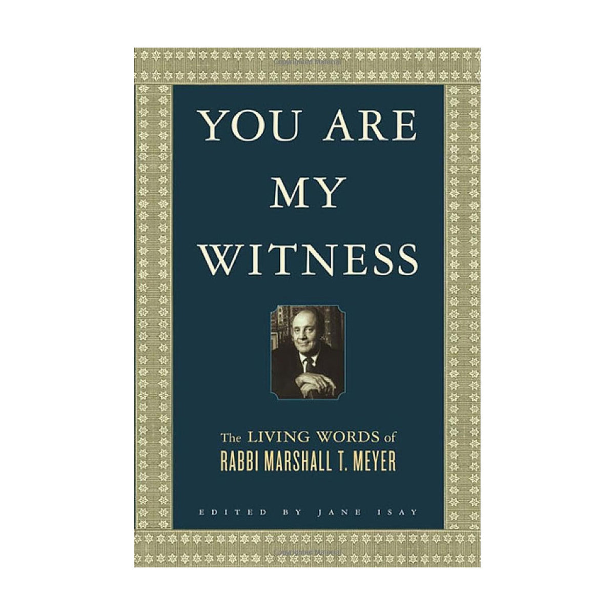 You Are My Witness: The Living Words of Rabbi Marshall T. Meyer book cover